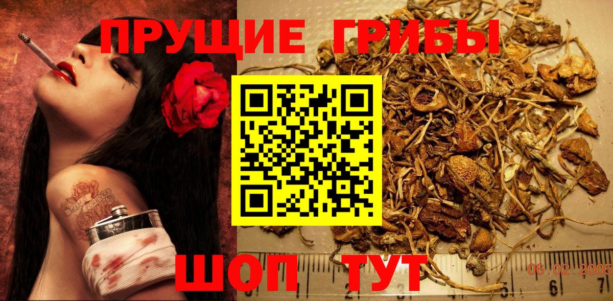 Псилоцибиновые грибы MAGIC MUSHROOMS Балабаново